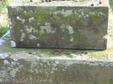image of grave number 294537